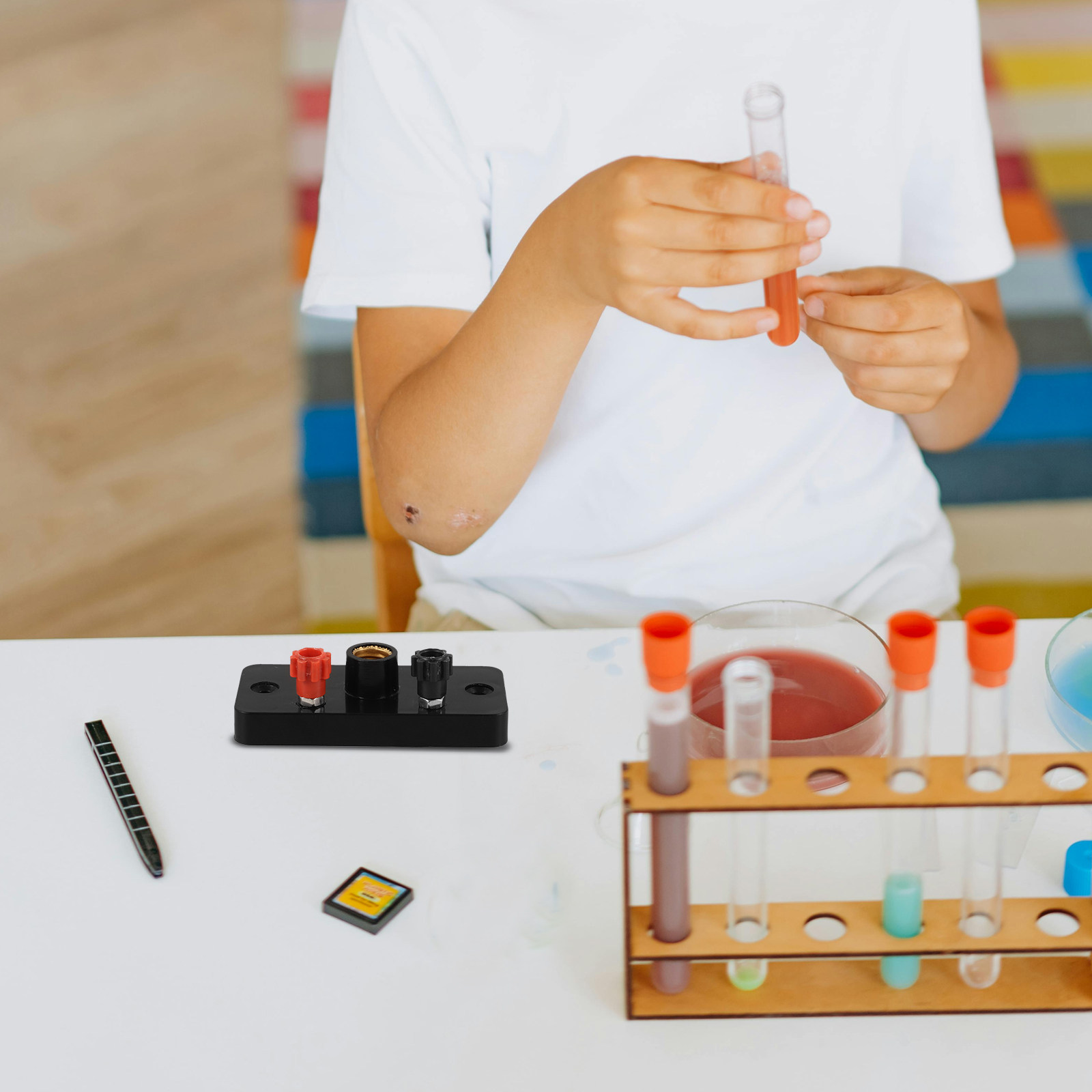 Soquete de Lâmpada E10 com Ros - Science Experiment avaliação e preço